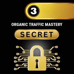 How to Learn Organic Traffic _cleanup